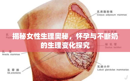 不知不觉 第3页