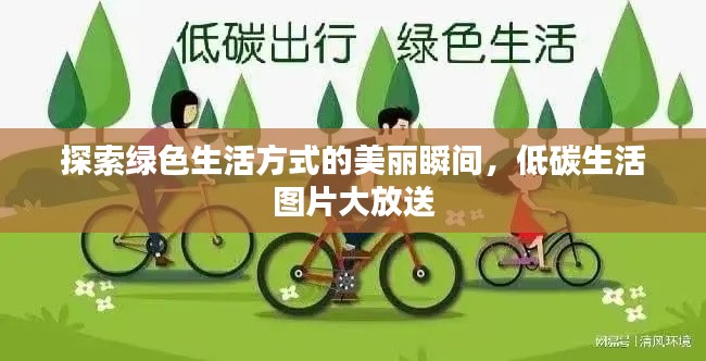 探索绿色生活方式的美丽瞬间，低碳生活图片大放送