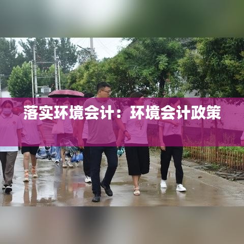 落实环境会计：环境会计政策 
