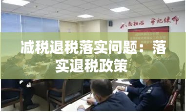 减税退税落实问题：落实退税政策 