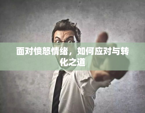 面对愤怒情绪，如何应对与转化之道