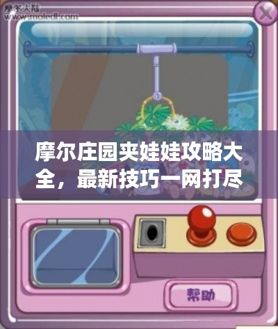 摩尔庄园夹娃娃攻略大全，最新技巧一网打尽