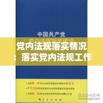 党内法规落实情况：落实党内法规工作总结 