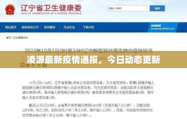 凌源最新疫情通报，今日动态更新
