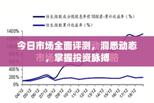 今日市场全面评测，洞悉动态，掌握投资脉搏