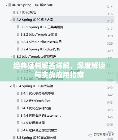 经典猛料解答详解，深度解读与实战应用指南