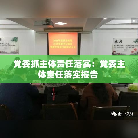 党委抓主体责任落实：党委主体责任落实报告 