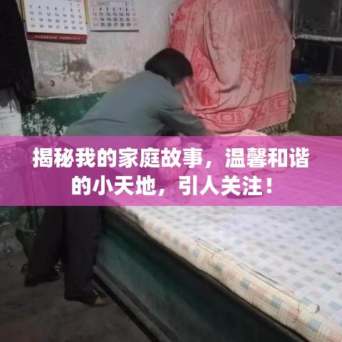 揭秘我的家庭故事，温馨和谐的小天地，引人关注！