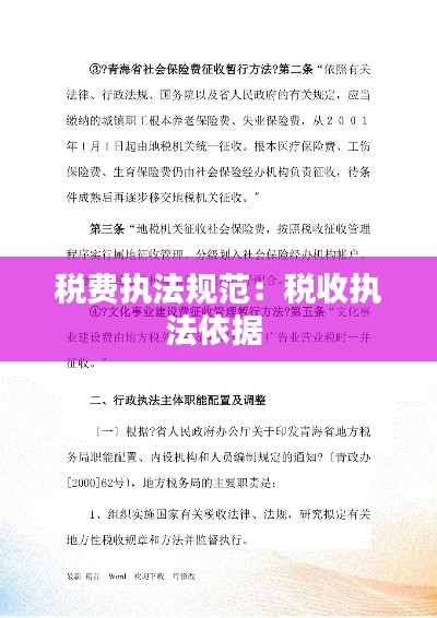 税费执法规范：税收执法依据 