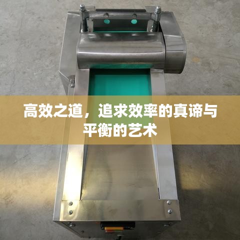 高效之道，追求效率的真谛与平衡的艺术