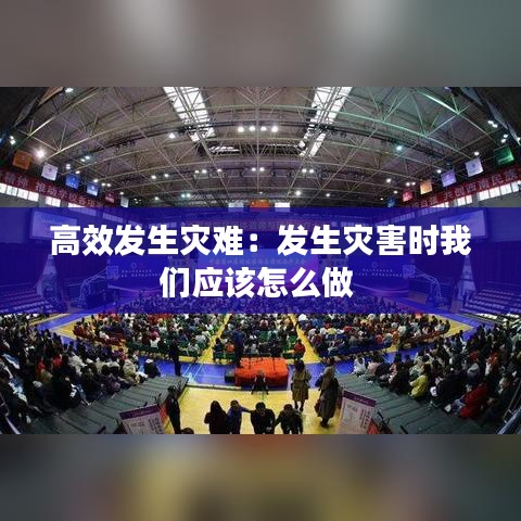 高效发生灾难：发生灾害时我们应该怎么做 