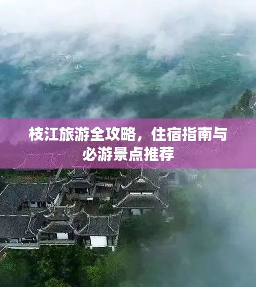 惊弦之鸟 第3页