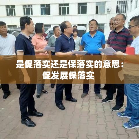 是促落实还是保落实的意思：促发展保落实 