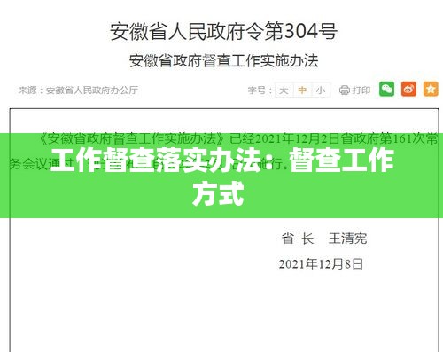 工作督查落实办法：督查工作方式 