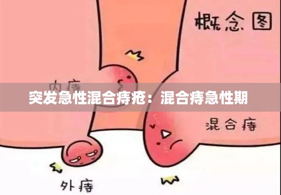 龙飞九五 第3页