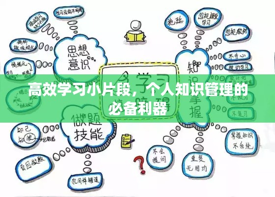 高效学习小片段，个人知识管理的必备利器