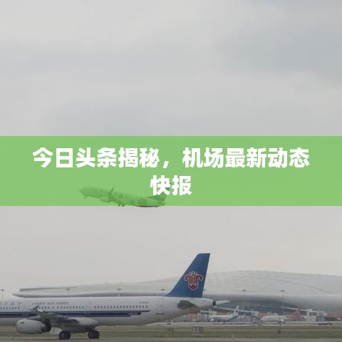 今日头条揭秘，机场最新动态快报
