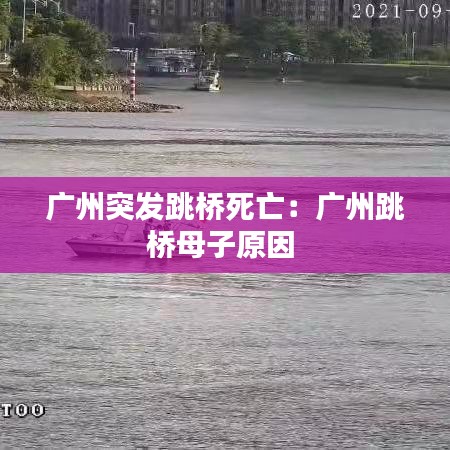 广州突发跳桥死亡：广州跳桥母子原因 