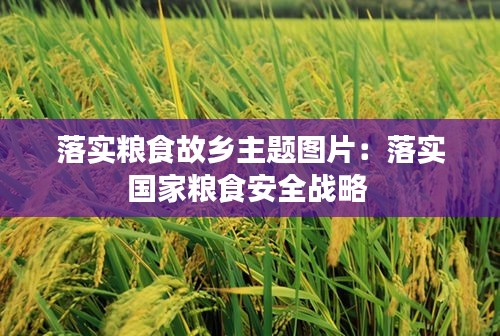 落实粮食故乡主题图片：落实国家粮食安全战略 