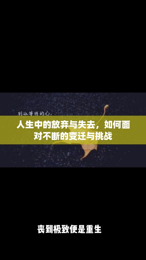 人生中的放弃与失去，如何面对不断的变迁与挑战