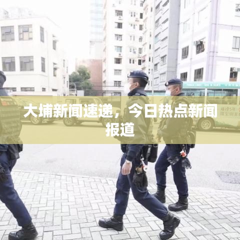大埔新闻速递，今日热点新闻报道
