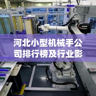 河北小型机械手公司排行榜及行业影响力解析