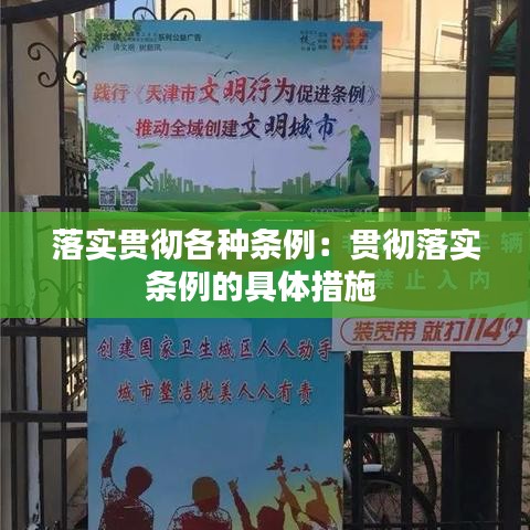 落实贯彻各种条例：贯彻落实条例的具体措施 