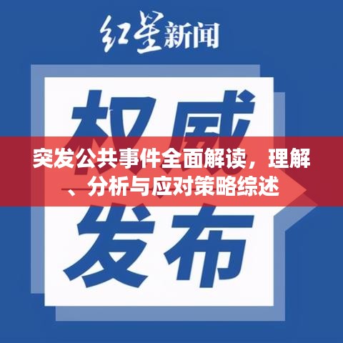 突发公共事件全面解读，理解、分析与应对策略综述