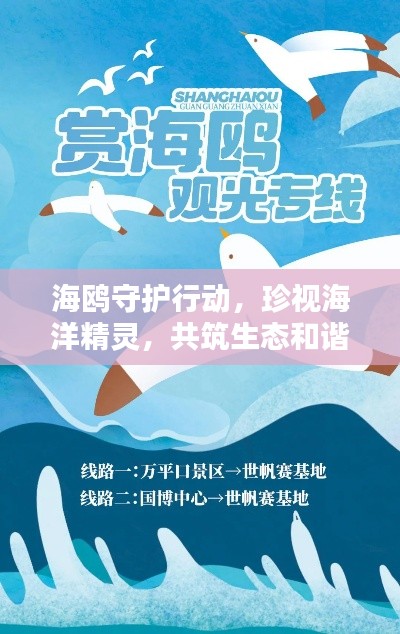 海鸥守护行动，珍视海洋精灵，共筑生态和谐宣传海报图片