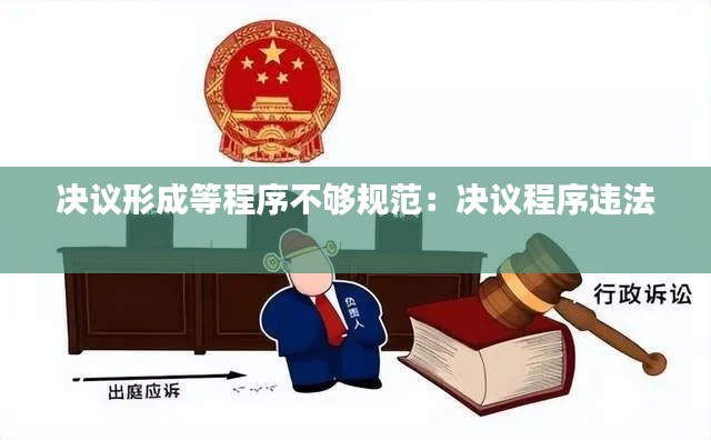 决议形成等程序不够规范：决议程序违法 