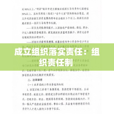 成立组织落实责任：组织责任制 