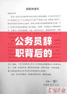 公务员辞职背后的故事，揭秘辞职背后的原因与决策过程