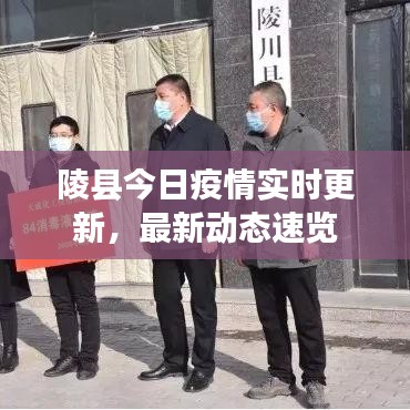 陵县今日疫情实时更新，最新动态速览