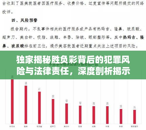 独家揭秘胜负彩背后的犯罪风险与法律责任，深度剖析揭示真相