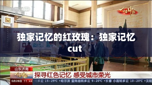 独家记忆的红玫瑰：独家记忆cut 