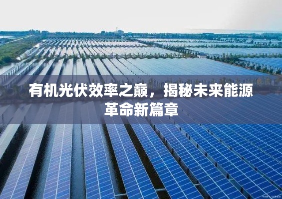 有机光伏效率之巅，揭秘未来能源革命新篇章
