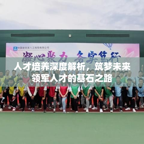 人才培养深度解析，筑梦未来领军人才的基石之路
