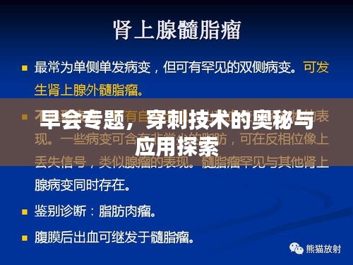 早会专题，穿刺技术的奥秘与应用探索