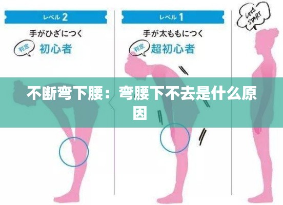 不断弯下腰：弯腰下不去是什么原因 