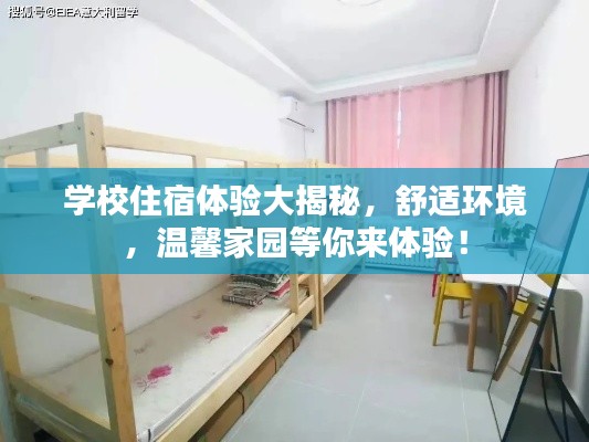 学校住宿体验大揭秘，舒适环境，温馨家园等你来体验！