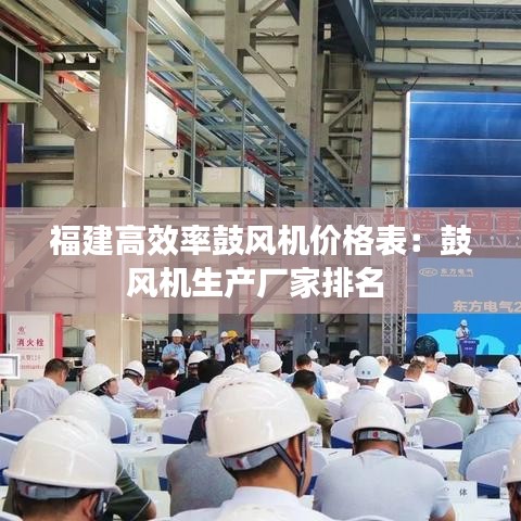 福建高效率鼓风机价格表：鼓风机生产厂家排名 