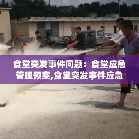 食堂突发事件问题：食堂应急管理预案,食堂突发事件应急处理 