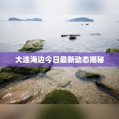 张弓挟矢 第3页