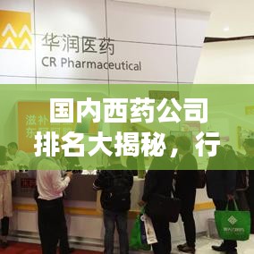 国内西药公司排名大揭秘，行业影响力不容小觑！