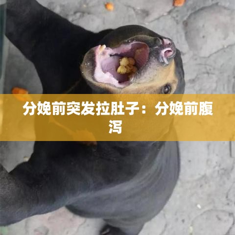 分娩前突发拉肚子：分娩前腹泻 