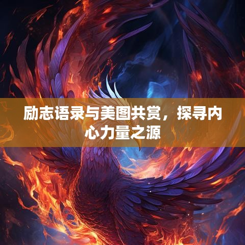 励志语录与美图共赏，探寻内心力量之源