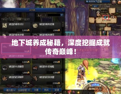 地下城养成秘籍，深度挖掘成就传奇巅峰！