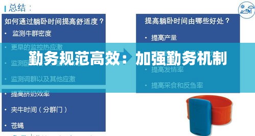 勤务规范高效：加强勤务机制 