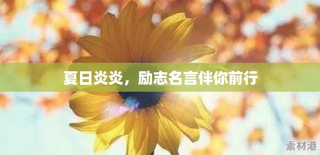 夏日炎炎，励志名言伴你前行