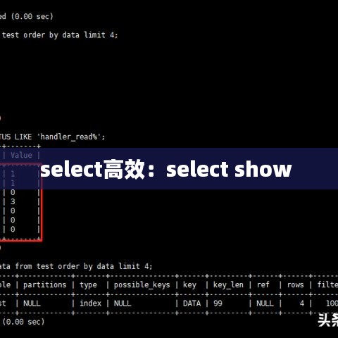 select高效：select show 
